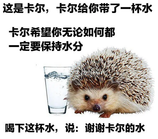 NISP是什么 NISP是什么